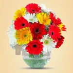 30 Gerberas