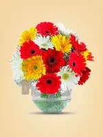 30 Gerberas