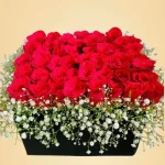 100 Roses