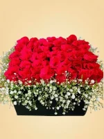 100 Roses